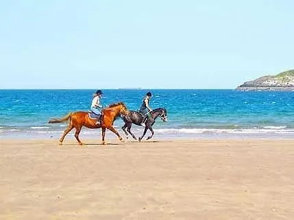 Nessebar Holiday E1-1 Слънчев бряг